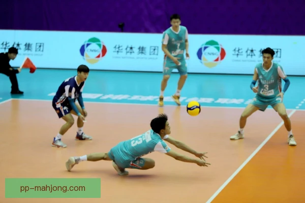 中国男排球路追踪系统，训练复盘效率提升